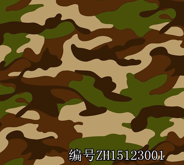 Camouflage 2015