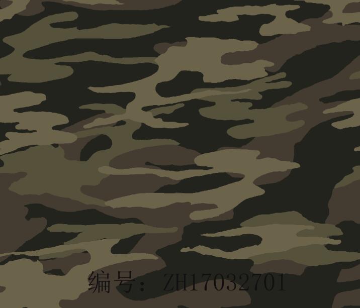  Camouflage 2017 A